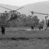 UH-34s drop off Marines in rice paddies.